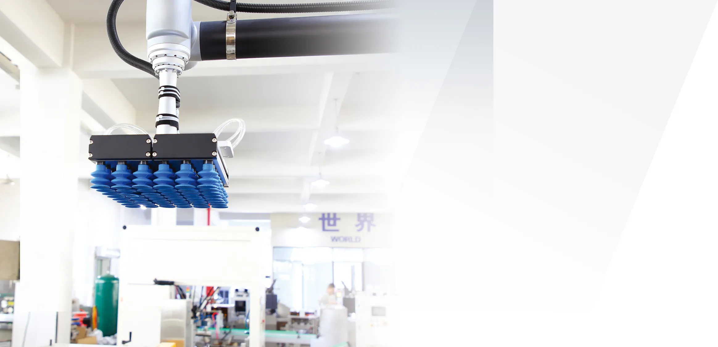 Automated Packaging Line & Robotic Case Packing Solutions